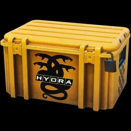 Operation Hydra Case