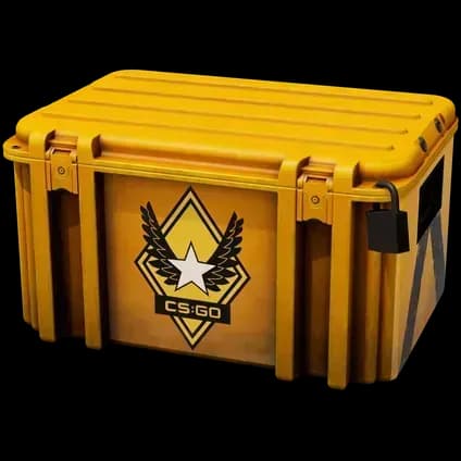 Winter Offensive Weapon case