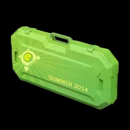 eSports 2014 Summer Case