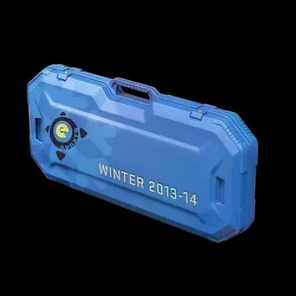 eSports 2013 Winter Case