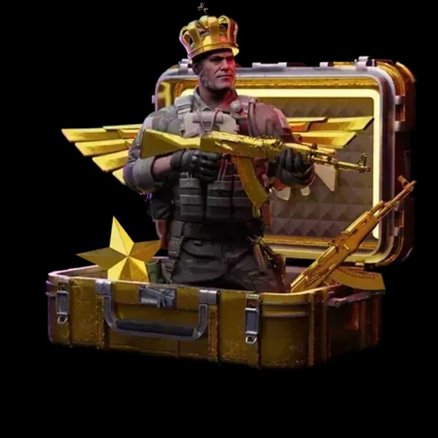 ELITE CASE