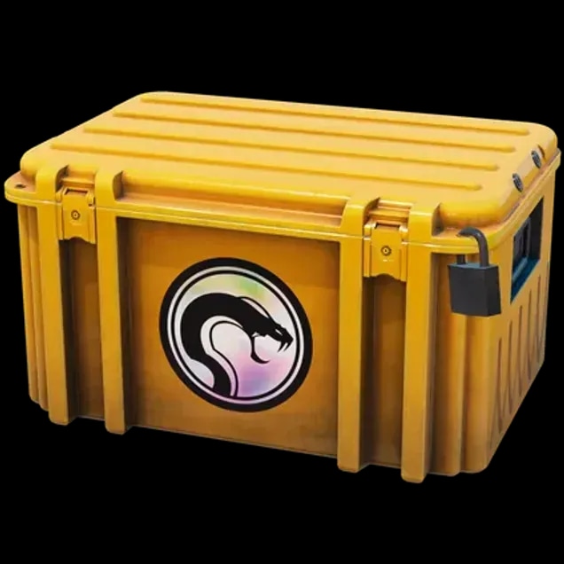 Recoil Case