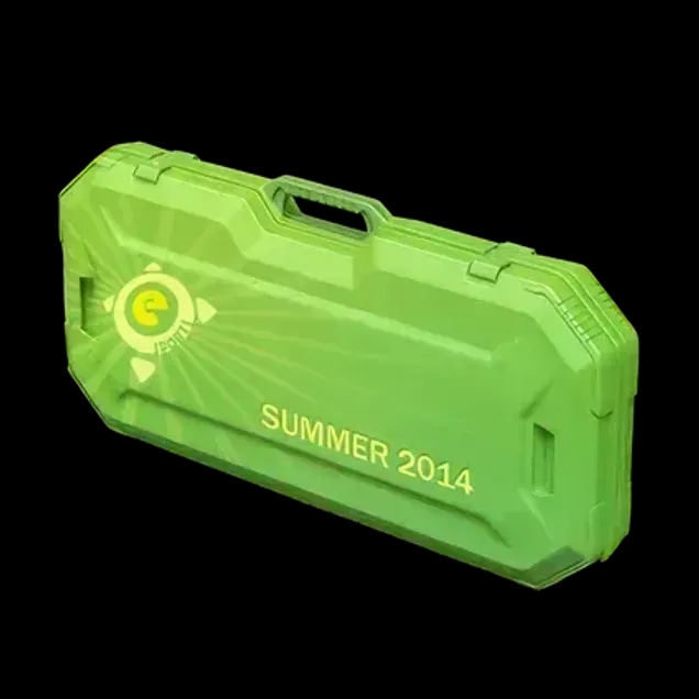eSports 2014 Summer Case