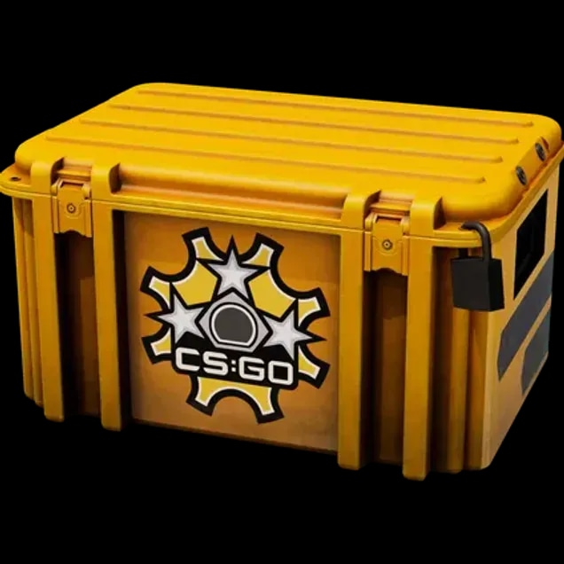Revolver Case