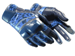 ★ Moto Gloves | Polygon