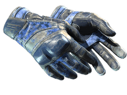 ★ Moto Gloves | Polygon
