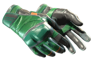 ★ Moto Gloves | Turtle