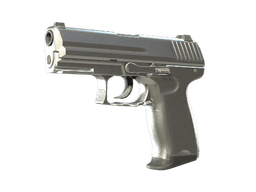 P2000 | Silver