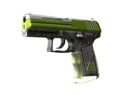 StatTrak™ P2000 | Turf