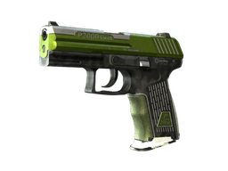 StatTrak™ P2000 | Turf