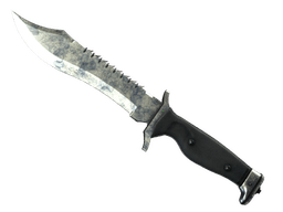 ★ StatTrak™ Bowie Knife | Stained