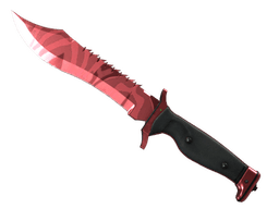 ★ StatTrak™ Bowie Knife | Slaughter