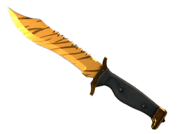 ★ Bowie Knife | Tiger Tooth
