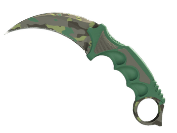 ★ Karambit | Boreal Forest