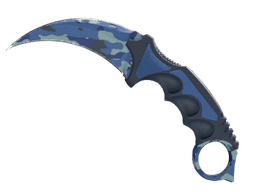 ★ Karambit | Bright Water