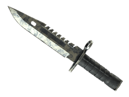 ★ M9 Bayonet | Stained