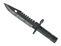 ★ M9 Bayonet | Night