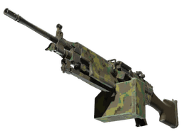M249 | Jungle DDPAT
