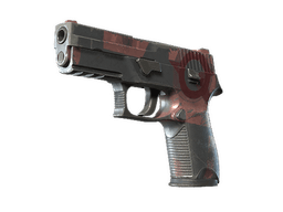P250 | Constructivist