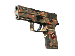 P250 | Red Rock