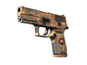 P250 | Red Rock
