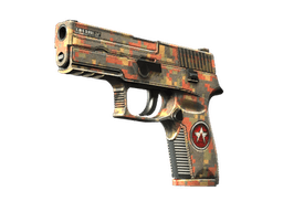 P250 | Red Rock