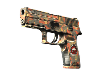 P250 | Red Rock