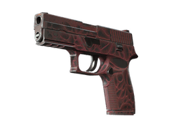 StatTrak™ P250 | Contaminant