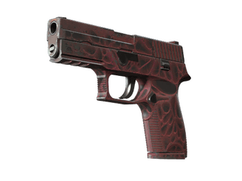 P250 | Contaminant