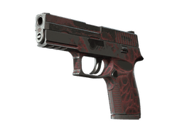 StatTrak™ P250 | Contaminant