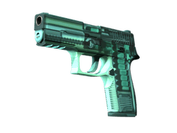 P250 | X-Ray