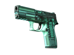 P250 | X-Ray