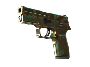 StatTrak™ P250 | Verdigris