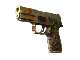 P250 | Inferno