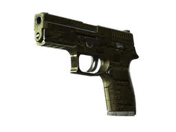 StatTrak™ P250 | Iron Clad