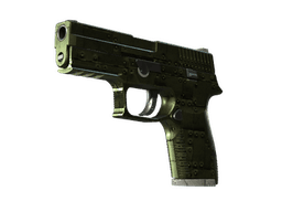 StatTrak™ P250 | Iron Clad