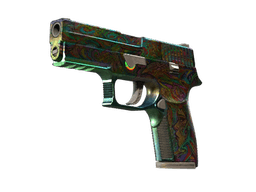 StatTrak™ P250 | Visions