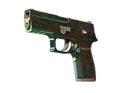 P250 | Visions