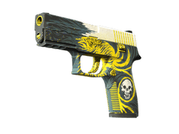 StatTrak™ P250 | Wingshot