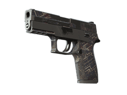 P250 | Facility Draft