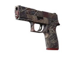 P250 | Facility Draft