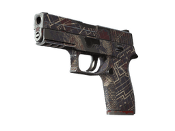 P250 | Facility Draft