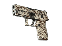 P250 | Gunsmoke