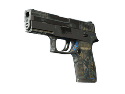 P250 | Exchanger