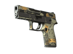 P250 | Modern Hunter