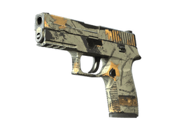 P250 | Modern Hunter