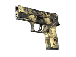 P250 | Contamination