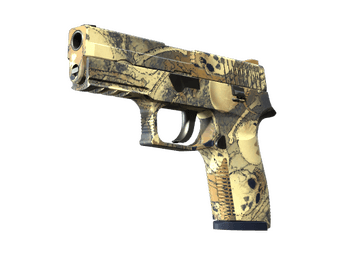 P250 | Contamination