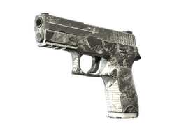 P250 | Sleet