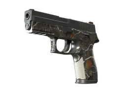 P250 | Small Game
